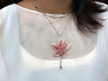 Star Penta Lily