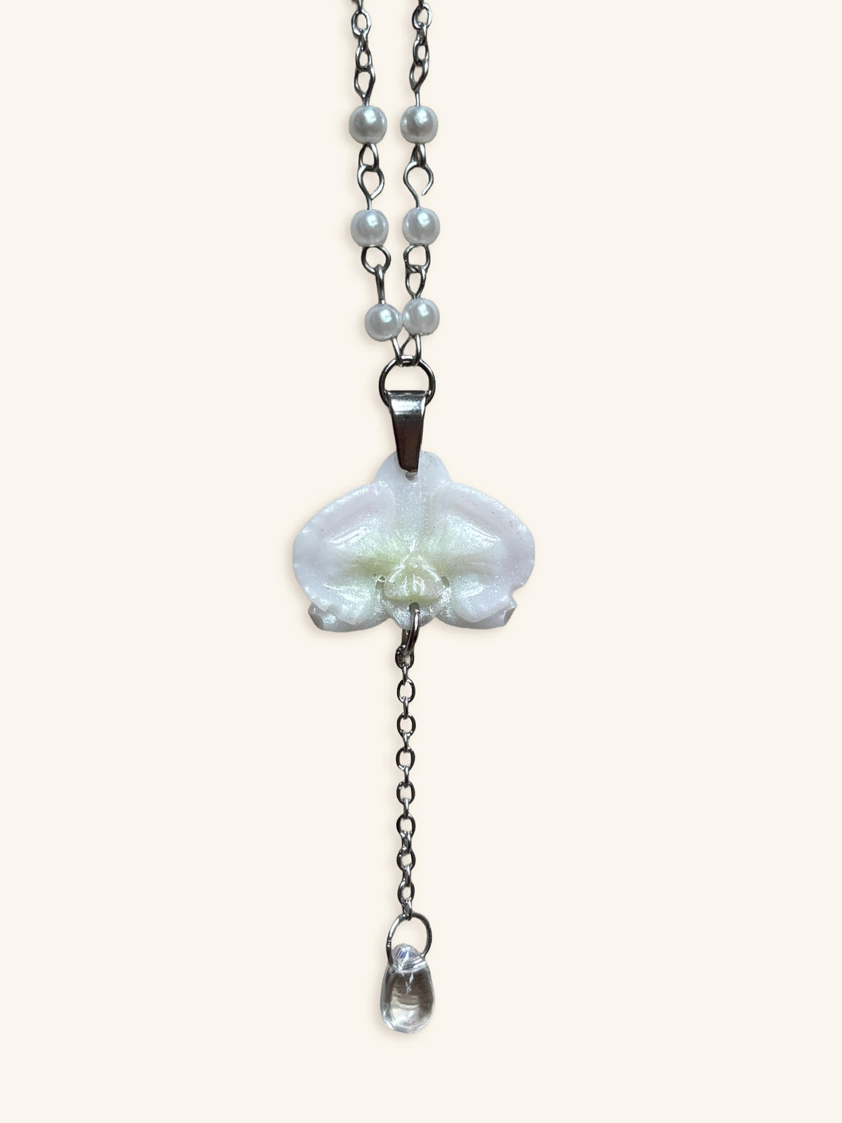 Snow moth orchid